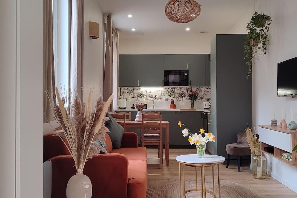 Maison Cosy Terrasse Ensoleille Clermont-Ferrand Zewnętrze zdjęcie